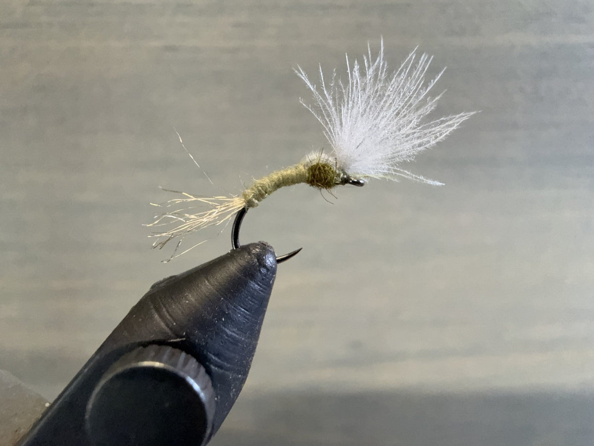 A Simple BWO Emerger for Finicky Trout